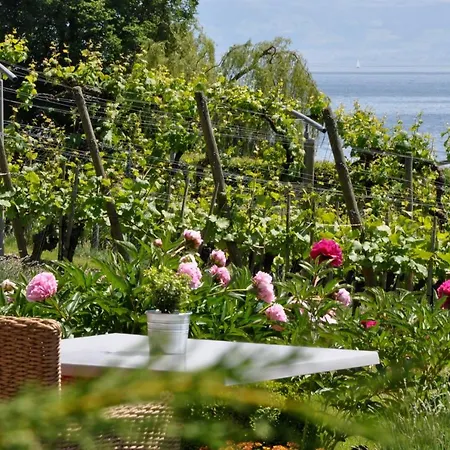 Appartementhotel Roehrenbach Szálloda Immenstaad am Bodensee
