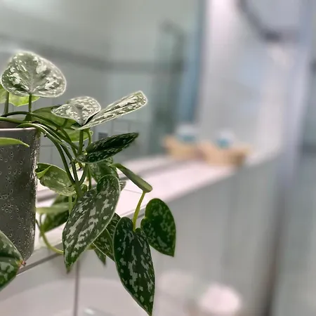 Appartementhotel Roehrenbach Immenstaad am Bodensee