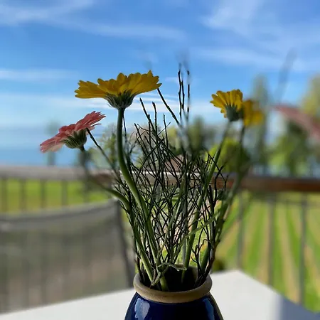 Appartementhotel Roehrenbach Szálloda *