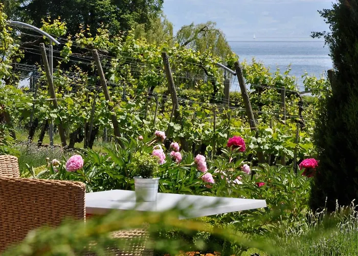 Appartementhotel Roehrenbach Hotel Immenstaad am Bodensee