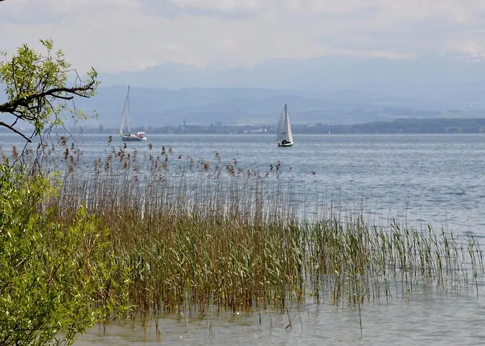 Hotel Appartementhotel Roehrenbach *