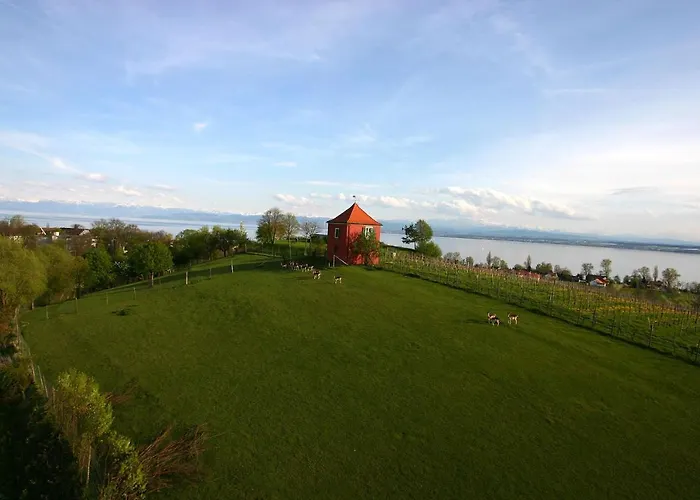 Appartementhotel Roehrenbach * Immenstaad am Bodensee