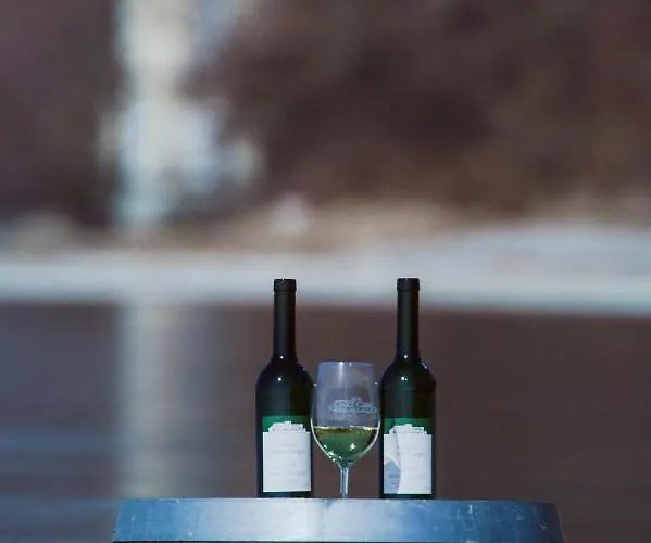 Hotel Appartementhotel Roehrenbach *