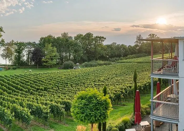 Hotel Appartementhotel Roehrenbach *