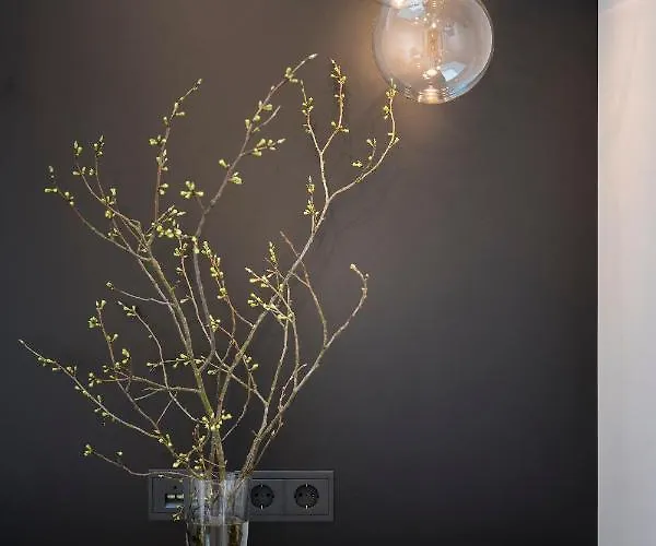 Hotel Appartementhotel Roehrenbach *