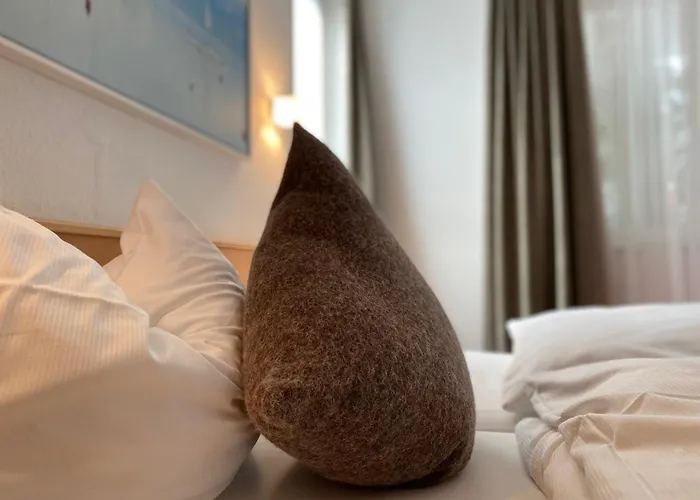 Hotel Appartementhotel Roehrenbach