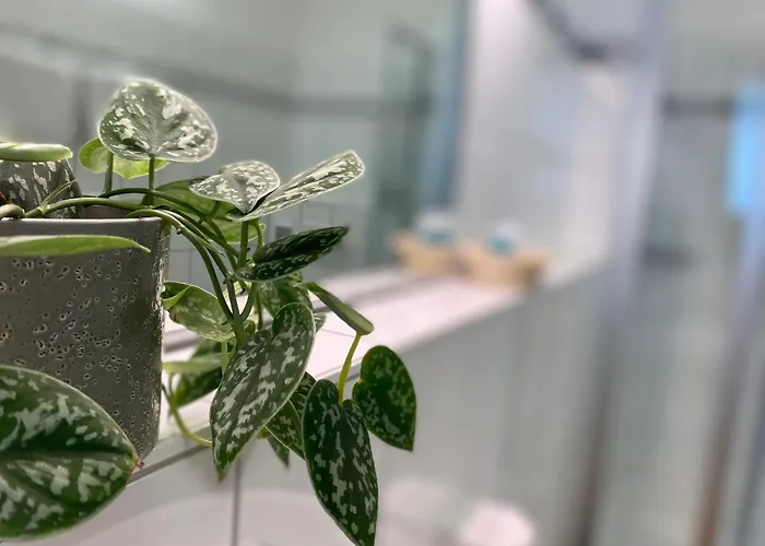 Appartementhotel Roehrenbach Immenstaad am Bodensee