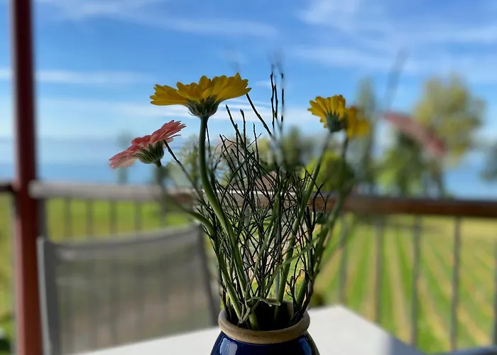 Appartementhotel Roehrenbach Hotel *